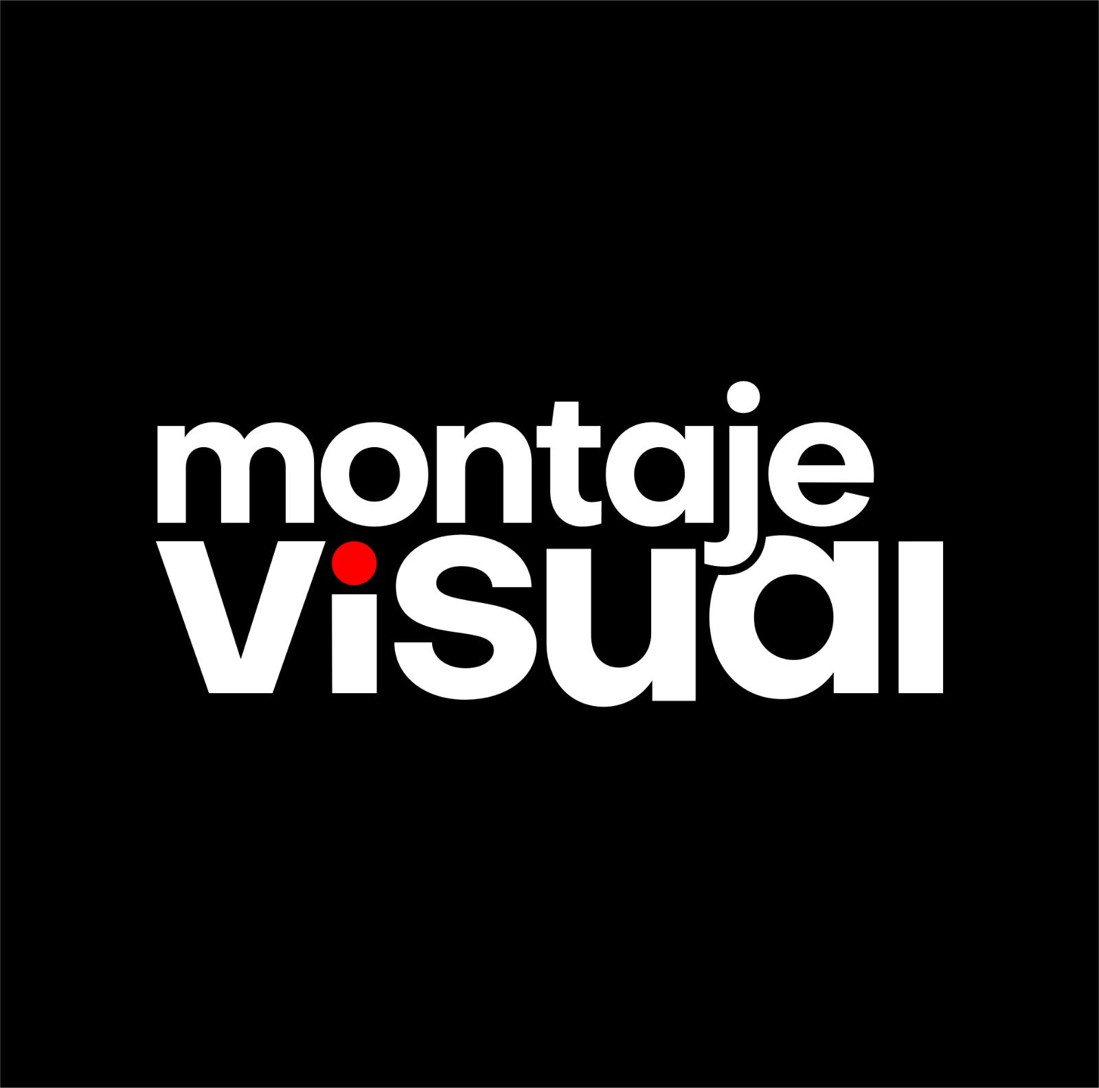 Perfil Montaje Visual